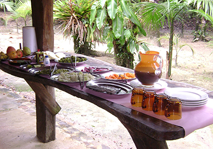 Comida do Parque do Zizo
