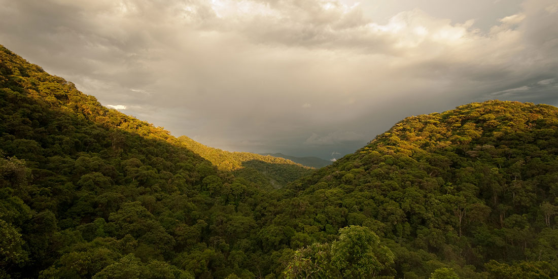 Mirante dos Gavião