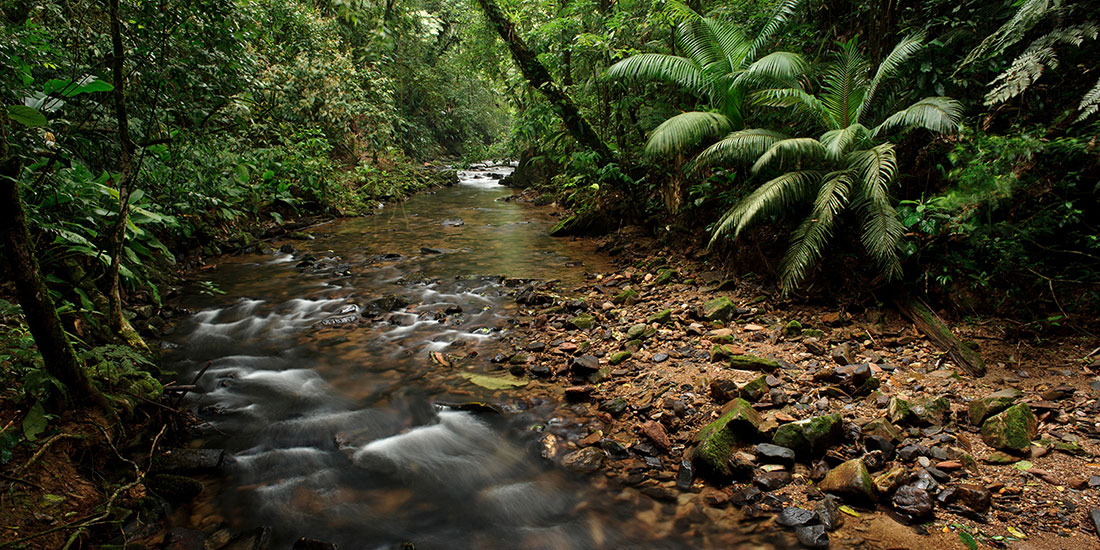 Rio Ouro Fino