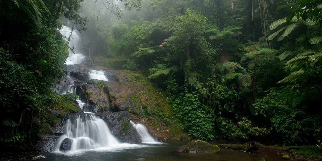 Cachoeira do Ouro Fino
