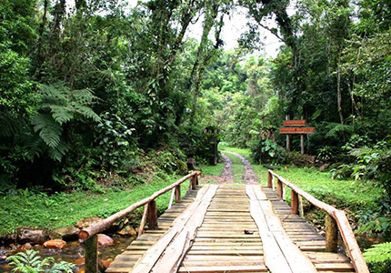 Caminho de entrada